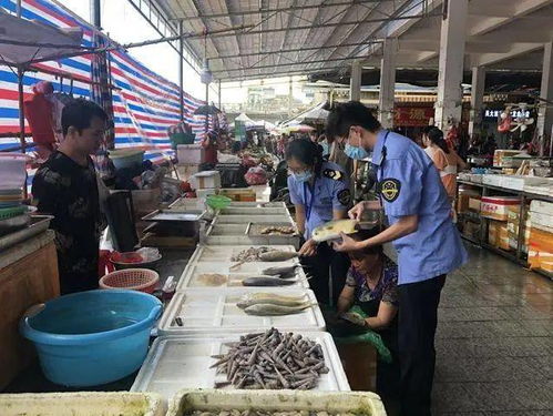 灵山县全面开展冰冻水产品食品安全专项检查