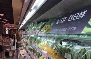 亚马逊已拉响警报 马云开实体店 预计明年4月开业